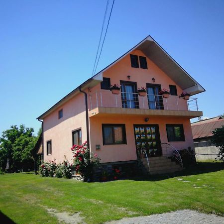 Pensiunea Balea Sat Cîrţişoara Bagian luar foto