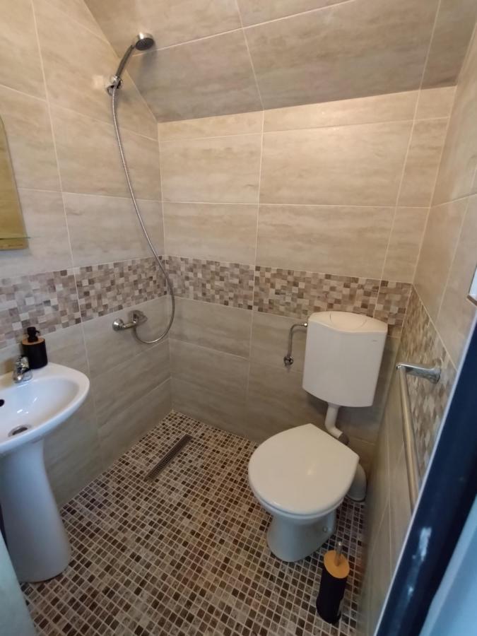 Pensiunea Balea Sat Cîrţişoara Bagian luar foto