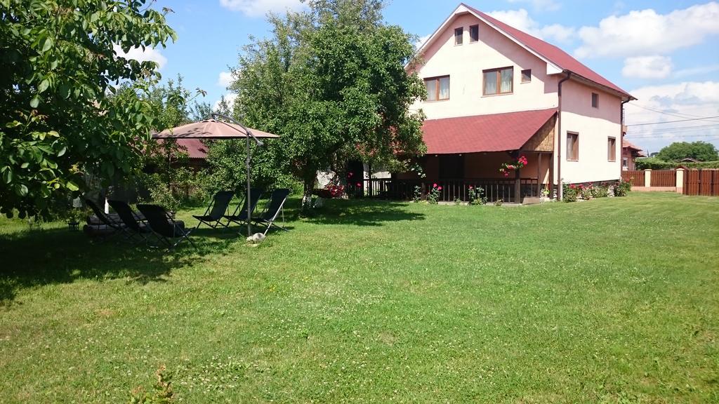 Pensiunea Balea Sat Cîrţişoara Bagian luar foto