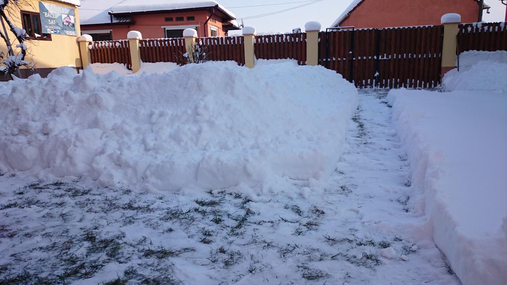 Pensiunea Balea Sat Cîrţişoara Bagian luar foto