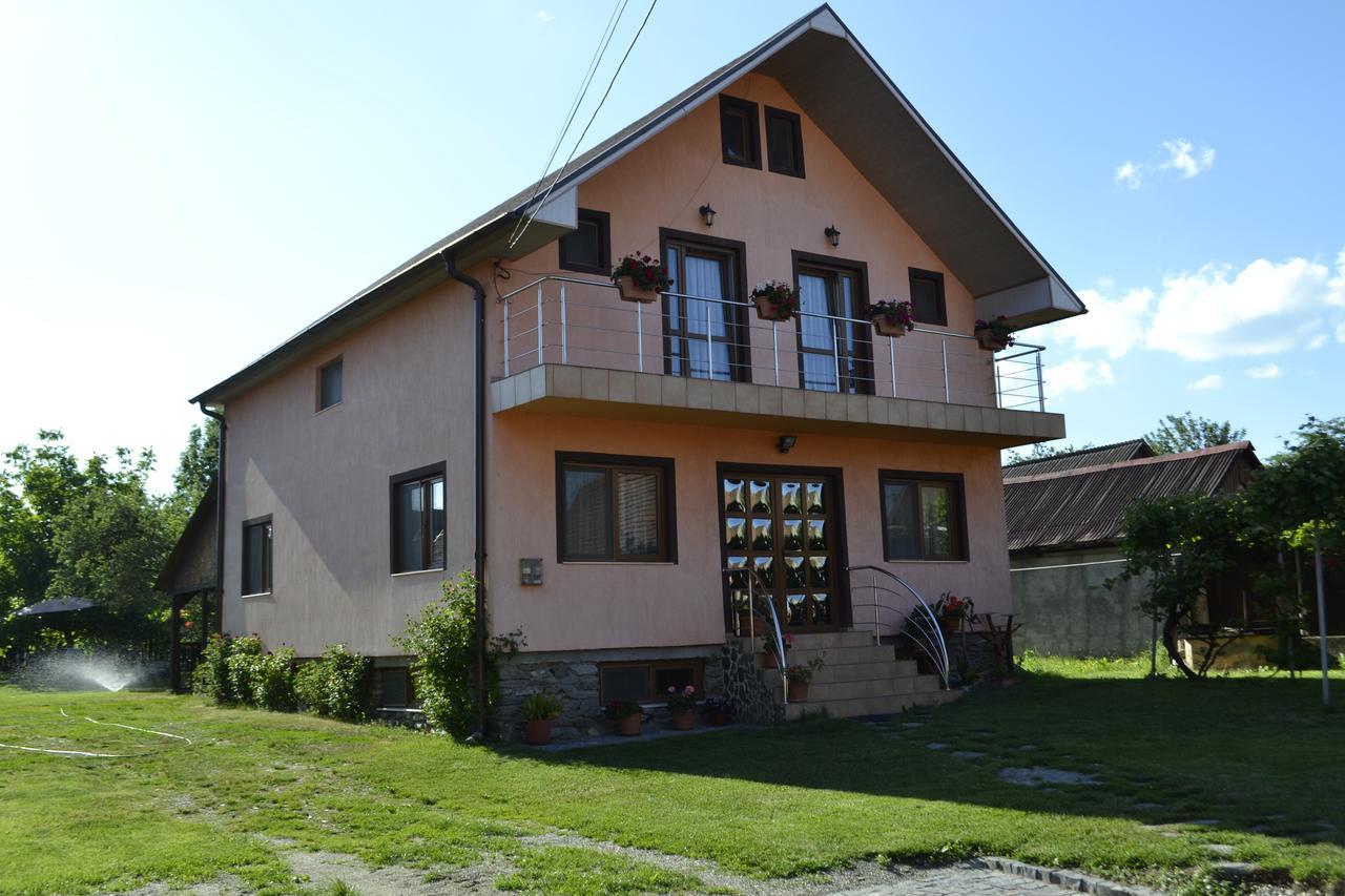Pensiunea Balea Sat Cîrţişoara Bagian luar foto