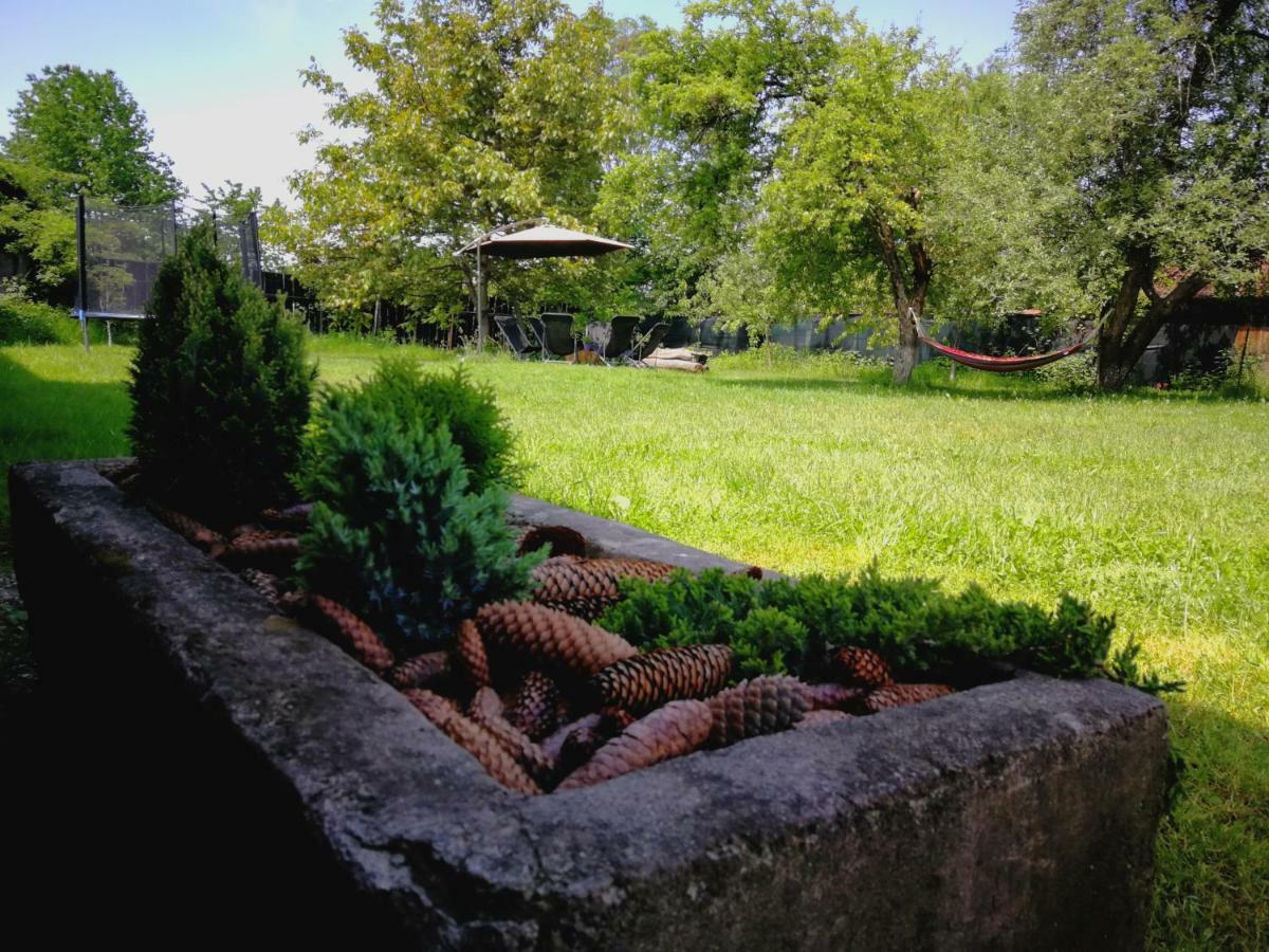 Pensiunea Balea Sat Cîrţişoara Bagian luar foto
