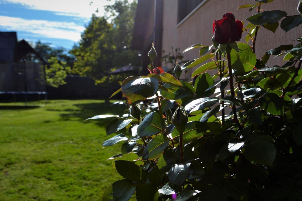 Pensiunea Balea Sat Cîrţişoara Bagian luar foto